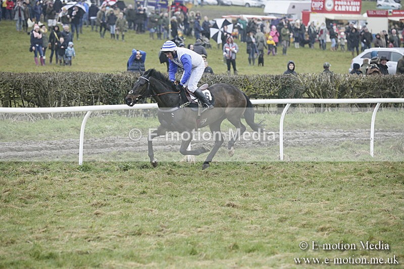 PtP 020418 -327 - Old Berks Point-to-Point Races Easter Monday 02/04/18