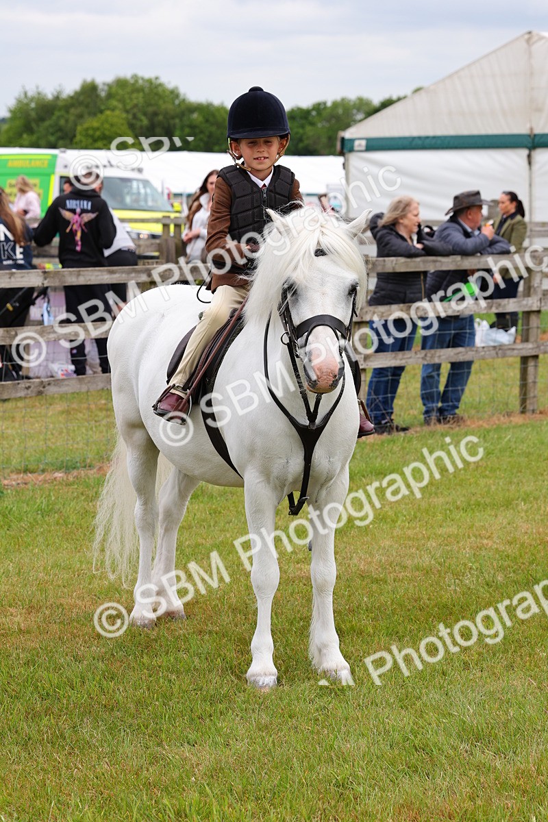 SBM_08803 - Class 42-43 - LIHS BSPS Heritage Working Sports Pony