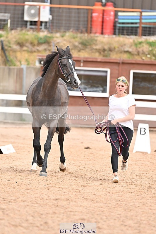 250716-153349-02014 - Trot Up 3.30 to 4.30