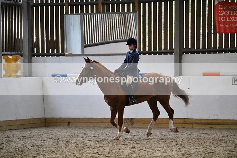WJ5_7788 - Class 13 Ridden Part Breed