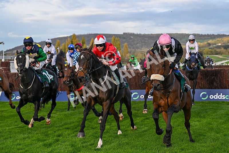 241025-Race 7-The Newest One-5855 - Race 7