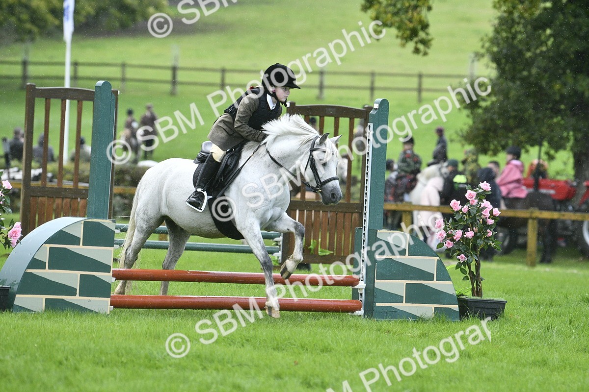 SBM_37156 - S31 - Novice & Newcomer Working Hunter Pony