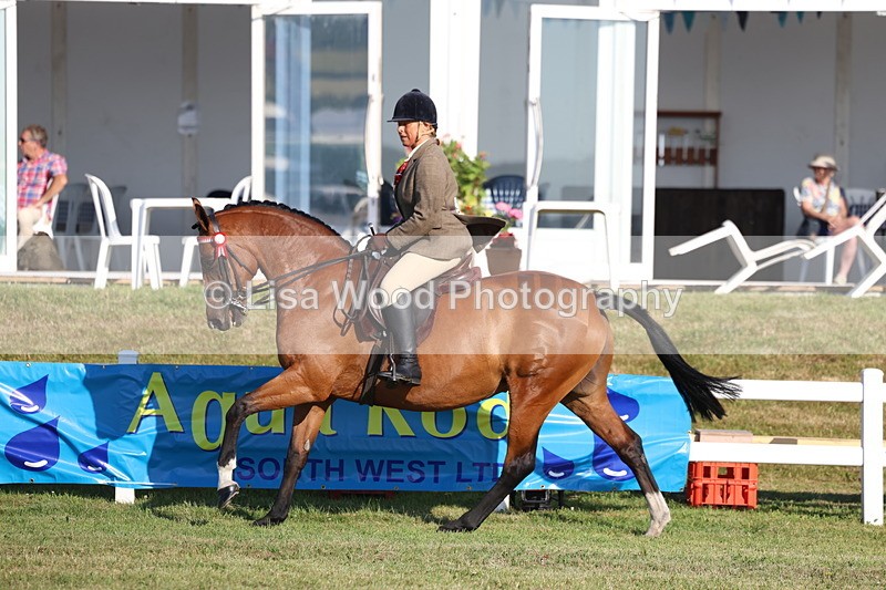 3E7A5023 - Class 1: Rising Star Small Hack/Riding Horses
