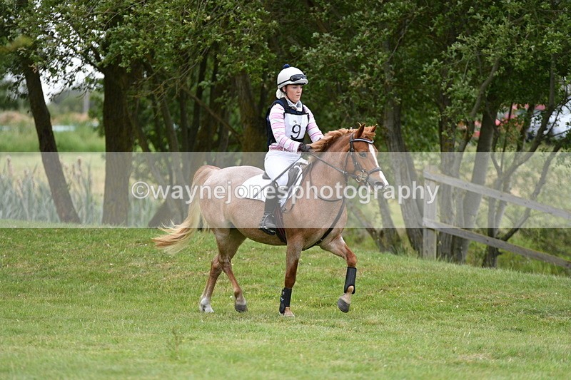 WJ5_2497 - Class 2 40cm