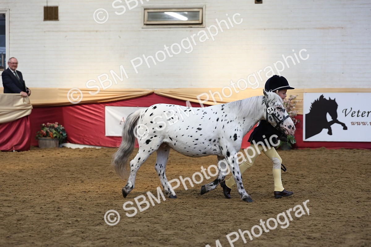 SBM_24114 - Class 905 - Supreme Final - Ridden Veteran