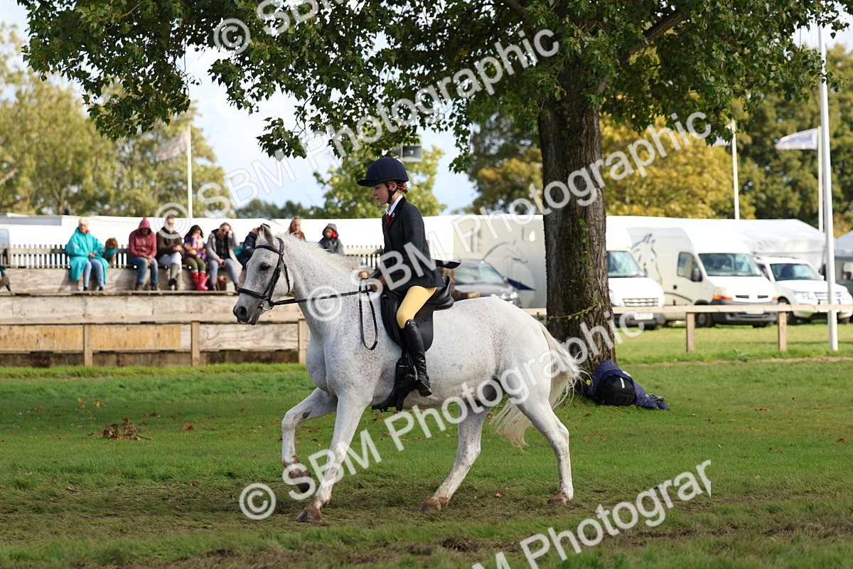 SBM_47833 - S28 - Veteran Ridden