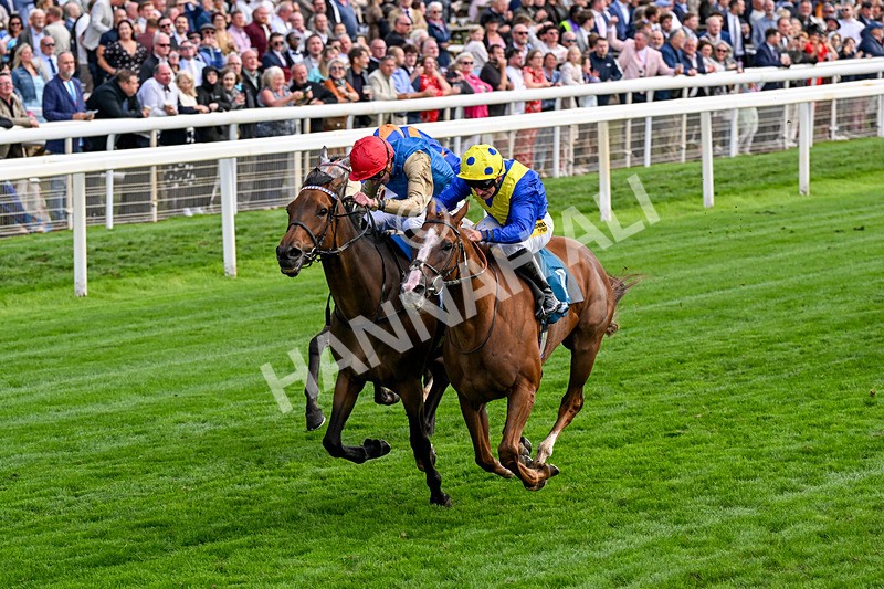210826-Race 5-Plage De Havre-0309 - Race 5 16.10pm Assured Data Protection Handicap