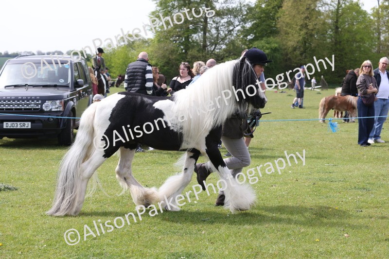 20260426-3355 - Class 27 - Coloured Horses and Ponies