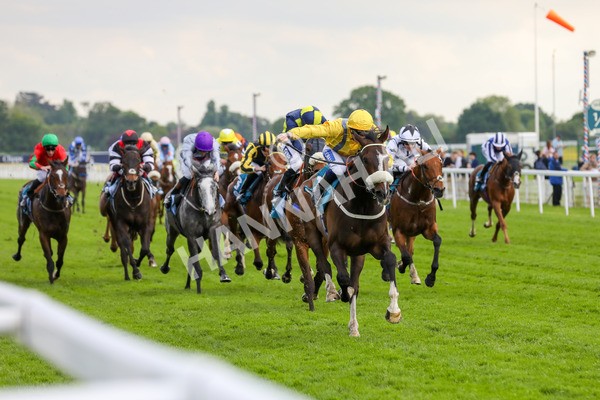 150524-Race 7-Dancing In Paris-1646 - Race 7 5.20pm Stuey Weston & Friends Getting Out Handicap