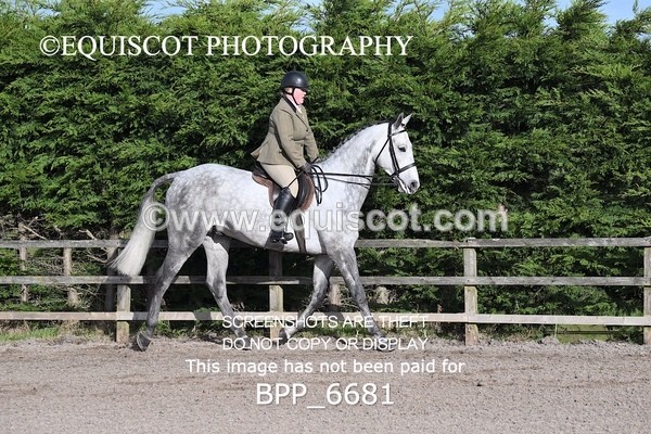 BPP_6681 - RING 1  (RIDDEN HORSES / IN HAND / VETERAN ETC)