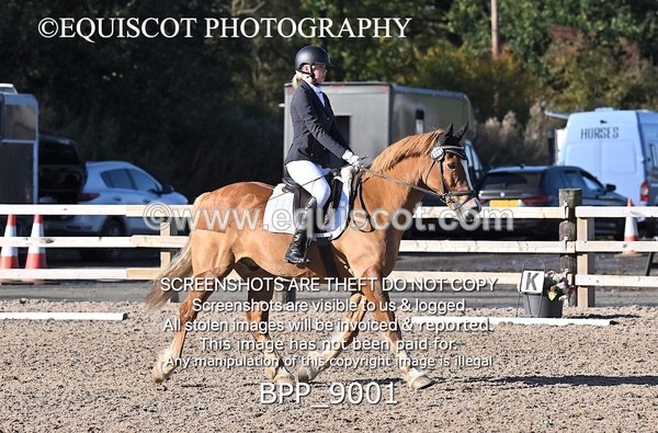 BPP_9001 - SHORT ARENA INTRO 3