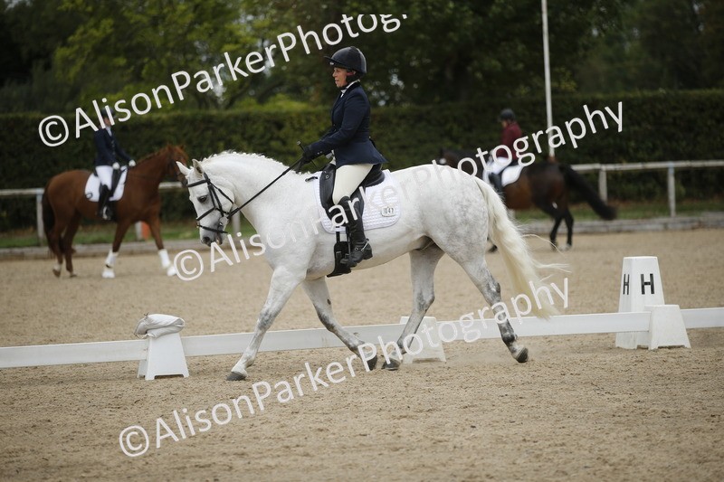 20260913-0264 - Class 3 - Novice 5