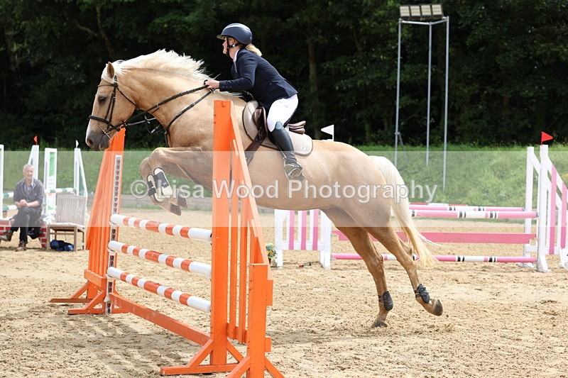 3E7A6023 - Class 4: Senior British Novice/90cm open