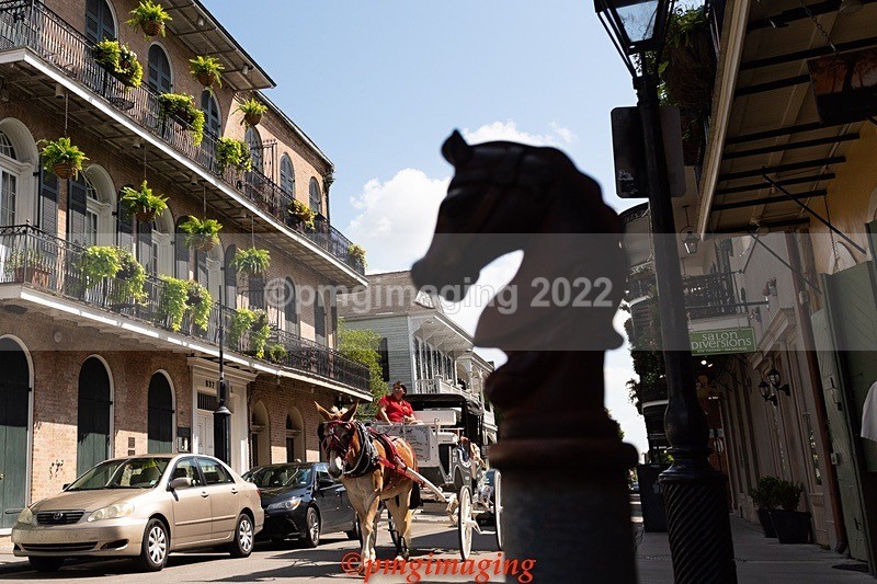  - New Orleans