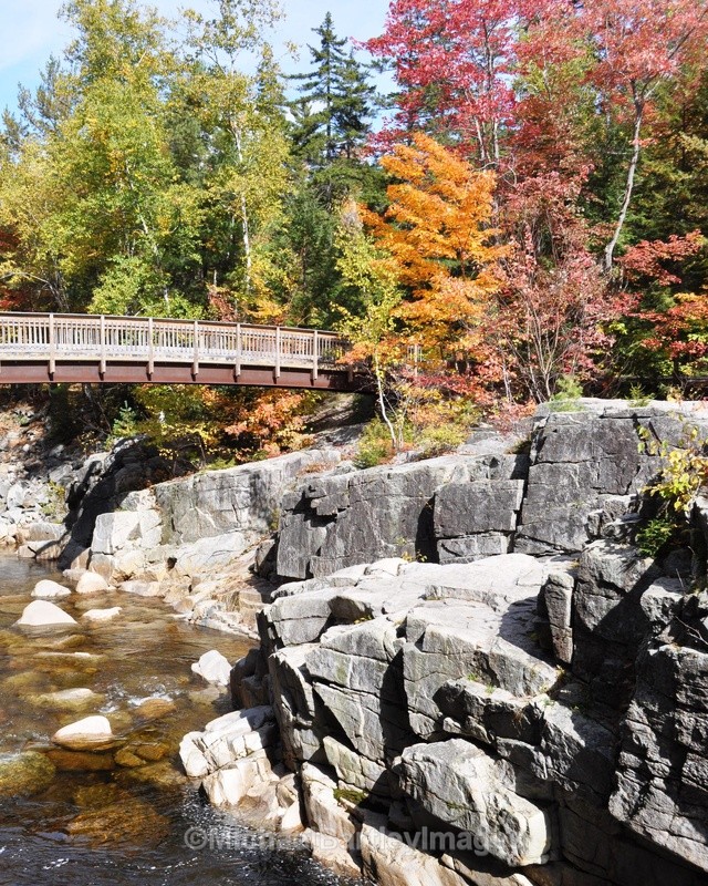 Bridge in Maine - Nature as Art