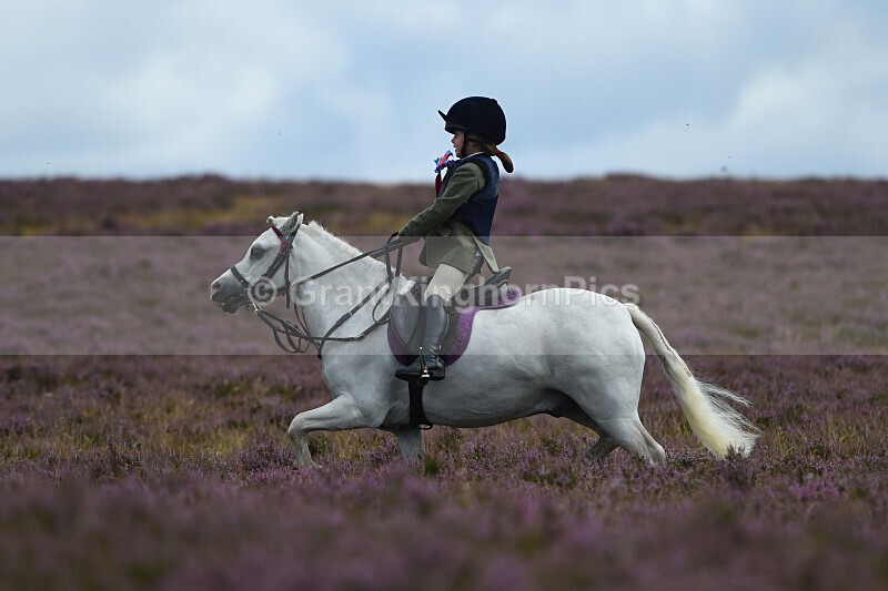 _146 - Lauder Common Riding 2025