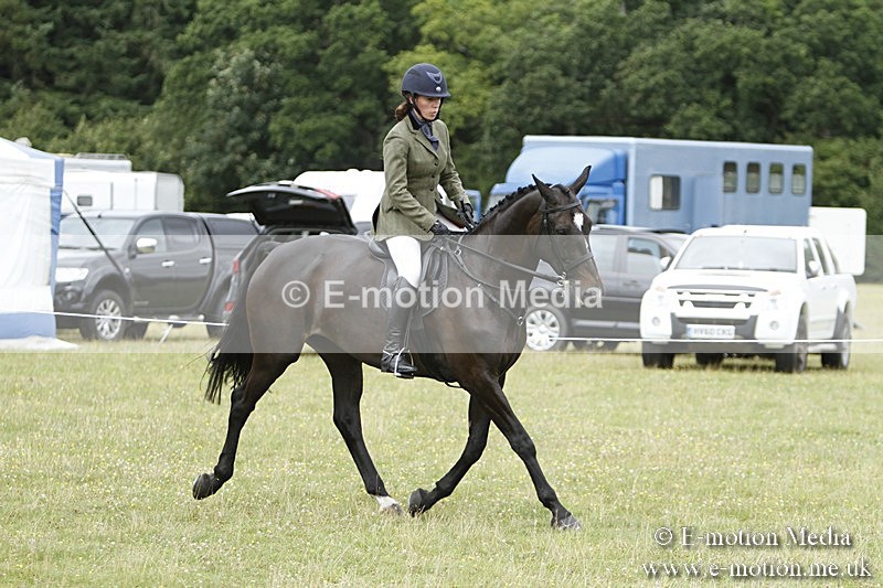 BVR160717-2228 - Ring 3 BVRC Show 16/07/17