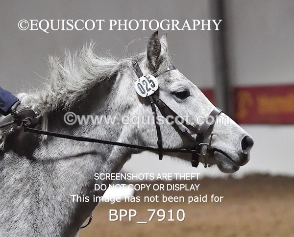 BPP_7910 - INTRO TEST 3