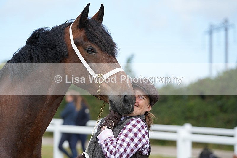 DSC05862 - Class 51: NPS M&M 4 years and over Large Breeds