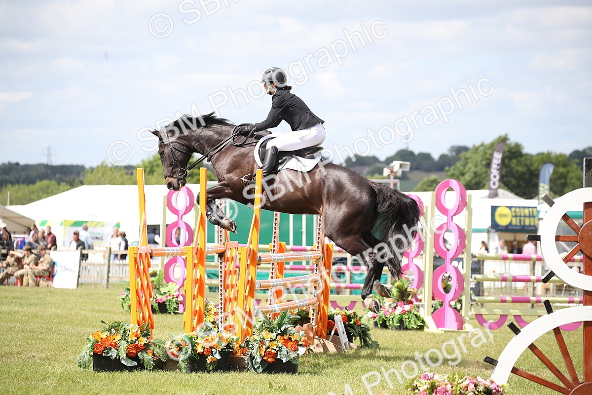 SBM_17429 - Class 208 - Senior Foxhunter 1.20m Open