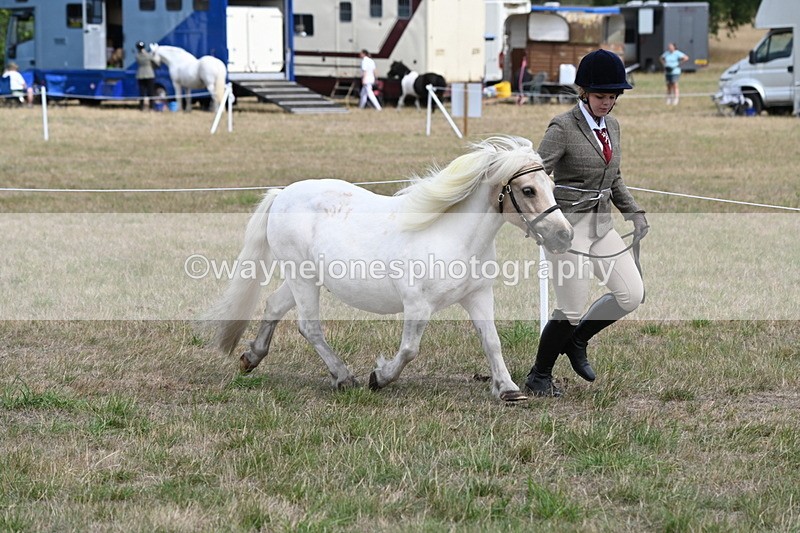 WJ6_5951 - Class 19 In-hand Veterans (Uploaded correct folder)