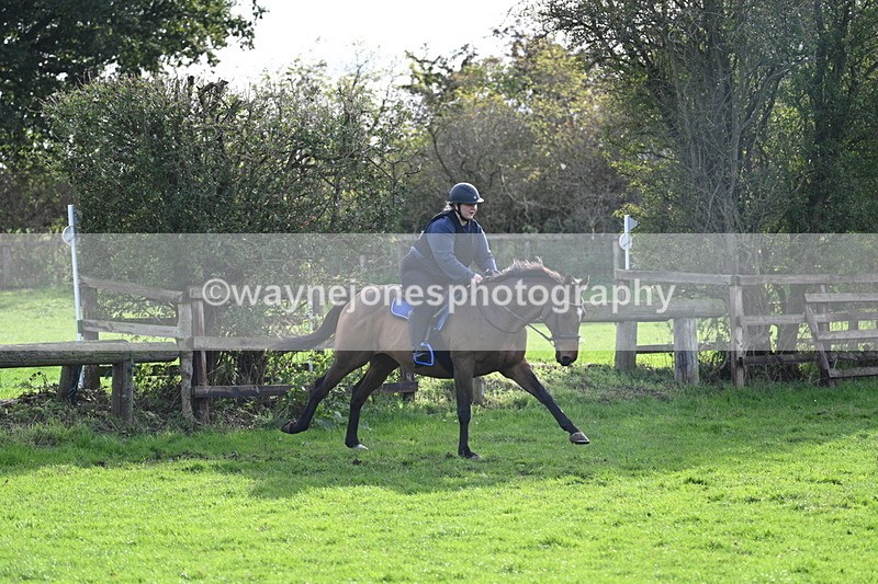 WJ7_0962 - Time 14:27 to 15:11