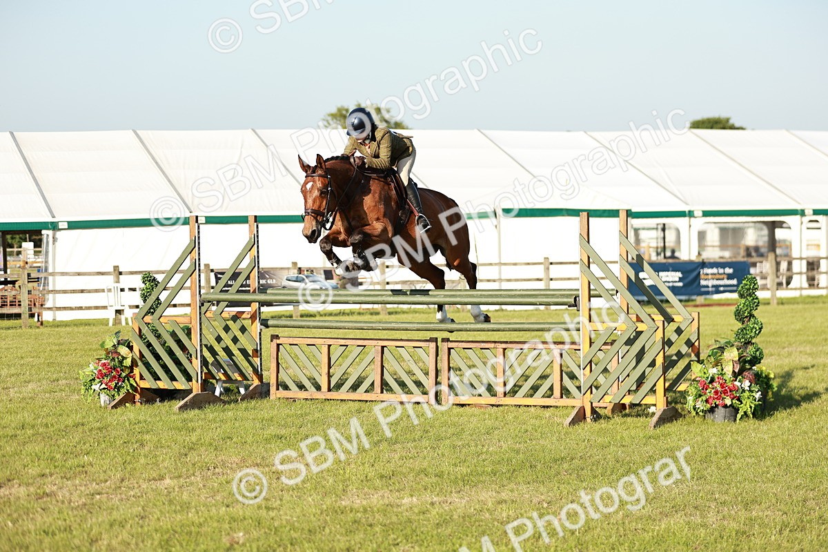 SBM_20380 - Class 117-119 - Sport Horse Working Hunter