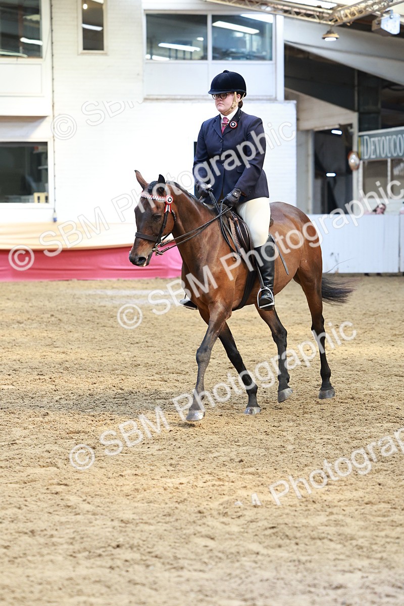 SBM_14903 - Class 108 - Ridden Retired Racehorse