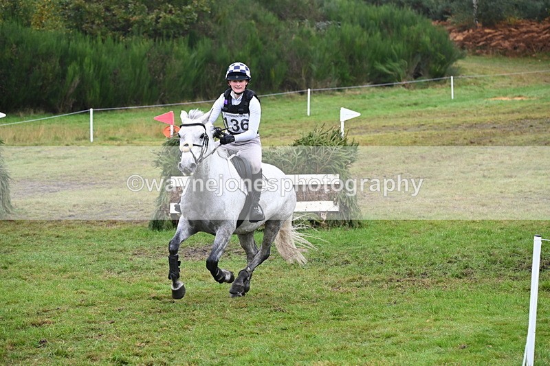 WJ6_2370 - 80cm Cam 1 Time 11:23 to 12:04