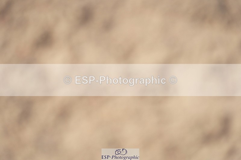 230924A-142354-06431 - 90 SJ 14.00 to End