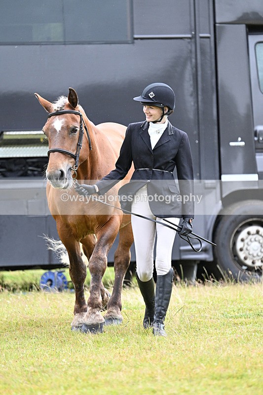 WJ7_6252 - Class 4a Prettiest Mare over 14hh
