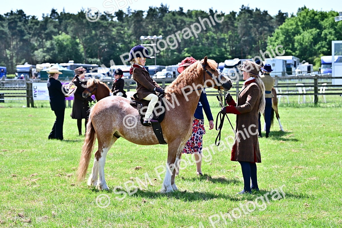 SBM_05841 - Class 59-60 - TSR M&M  Lear Rein and First Ridden Amateur of the year