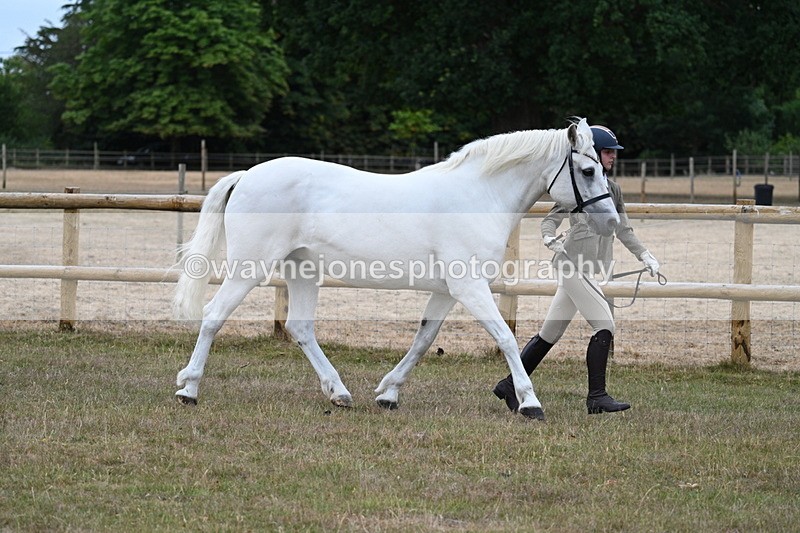 WJ7_8754 - Class 4a Prettiest Mare 14.2hh and over