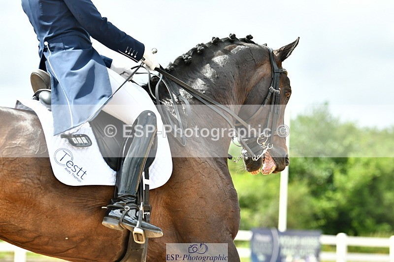 230702A-161543-11140 - Cls 37 + 42 FEI PSG + GP