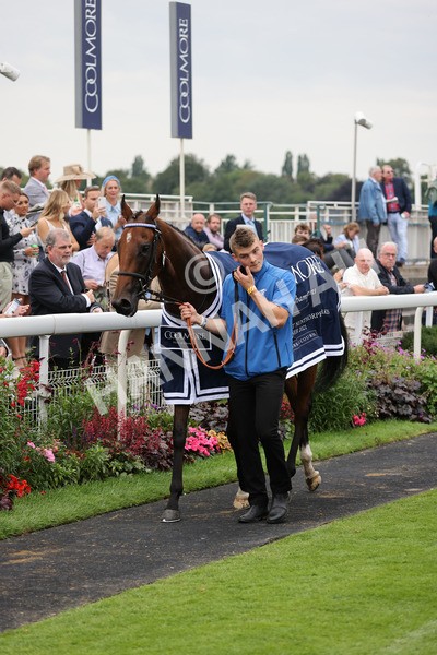 yr20082021r4-122 - Race 4 3.35pm Coolmore Wootton Bassett Nunthorpe Stakes (British Champions Series Race)