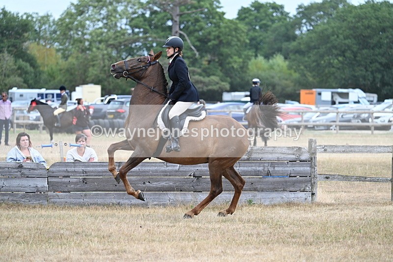 WJ7_0821 - Class 7 Riding Club Show Horse