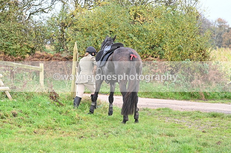 WJ7_0453 - Camera 1 & Last fence