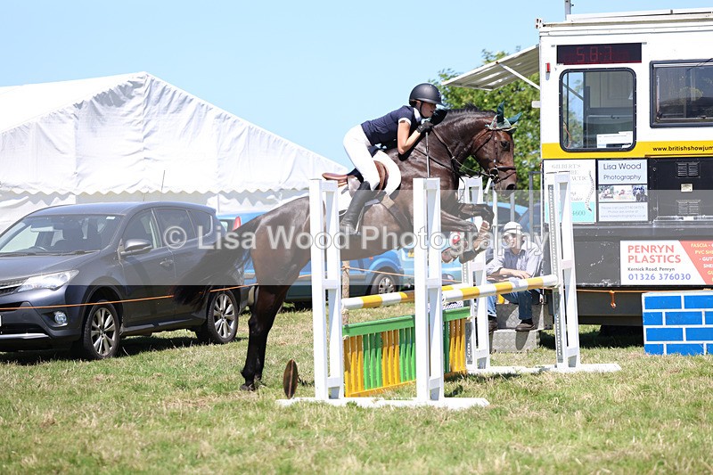 3E7A5537 - Class 9: Senior British Novice/90cm open