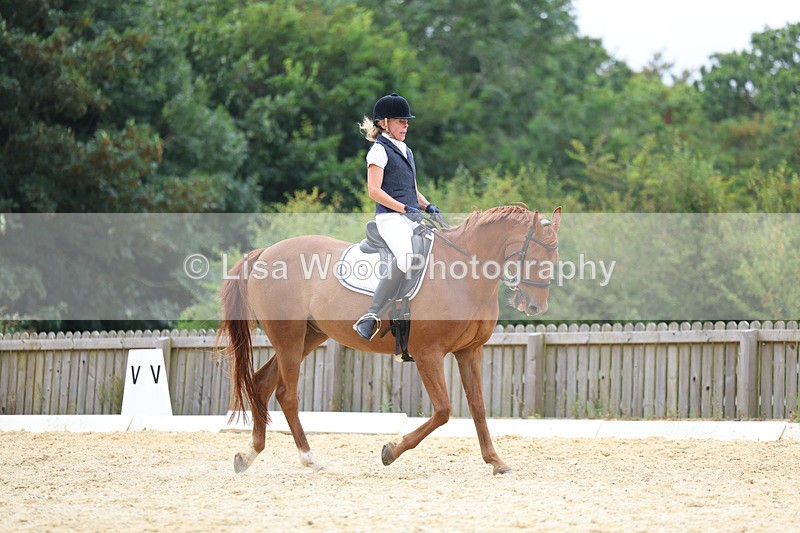 3E7A7229 - Class 9: Elementary 4 2024 - No sections