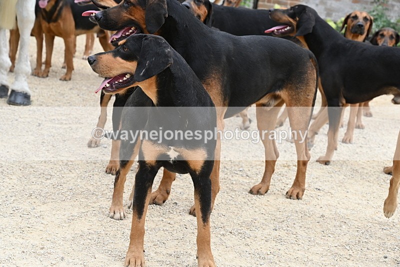 WJ6_3559 - Berks & Bucks - The Old farmhouse - Hound Exercise 20-08-25