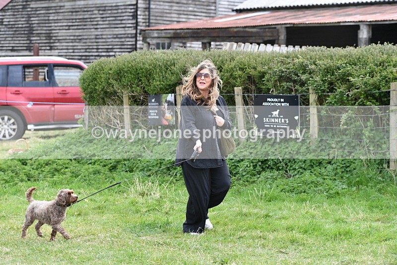 WJ5_9194 - Class 1 Best Cross Breed / Heniz 57