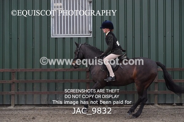 JAC_9832 - CLASS 2 Novice Working Hunter (0.60m - 0.70m)