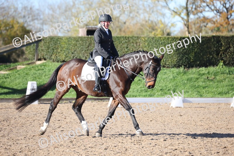 20251102-0503 - Class 3 - Novice 5