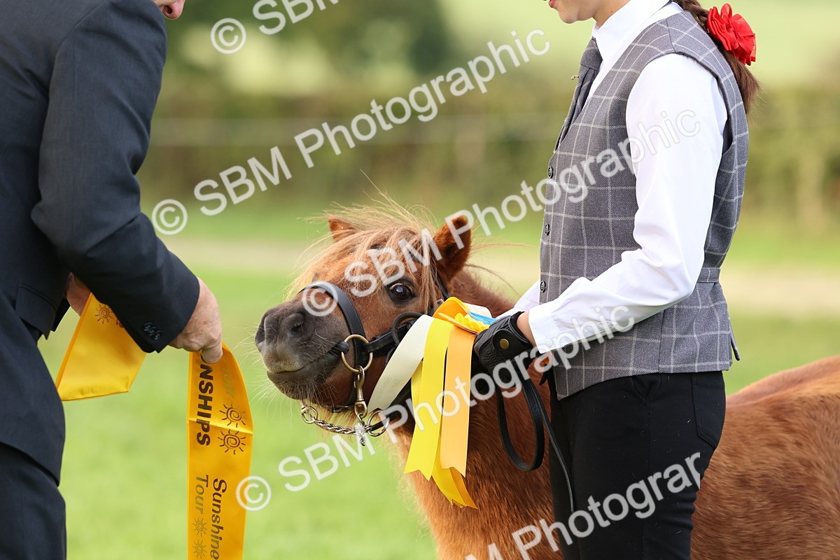 SBM_54902 - S39 - Starters In Hand Showing