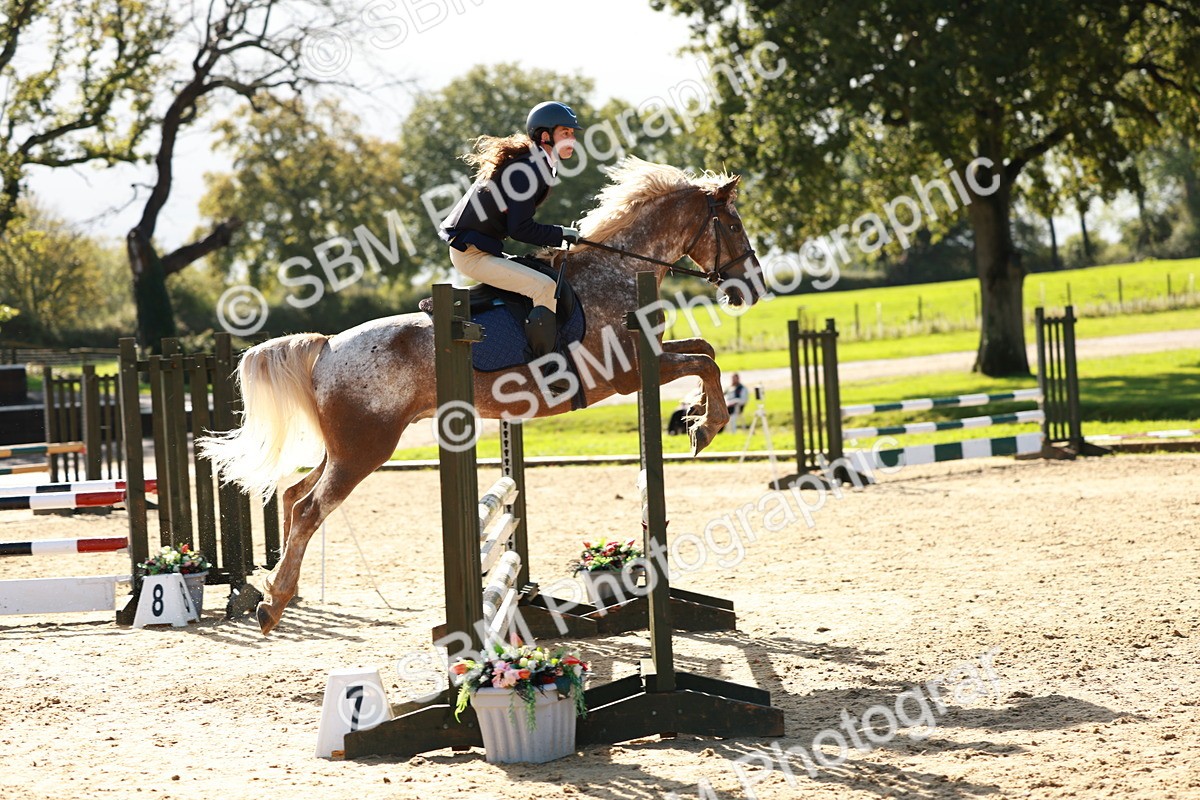 SBM_38002 - J39 - Senior Horse & Pony 85cm Championship
