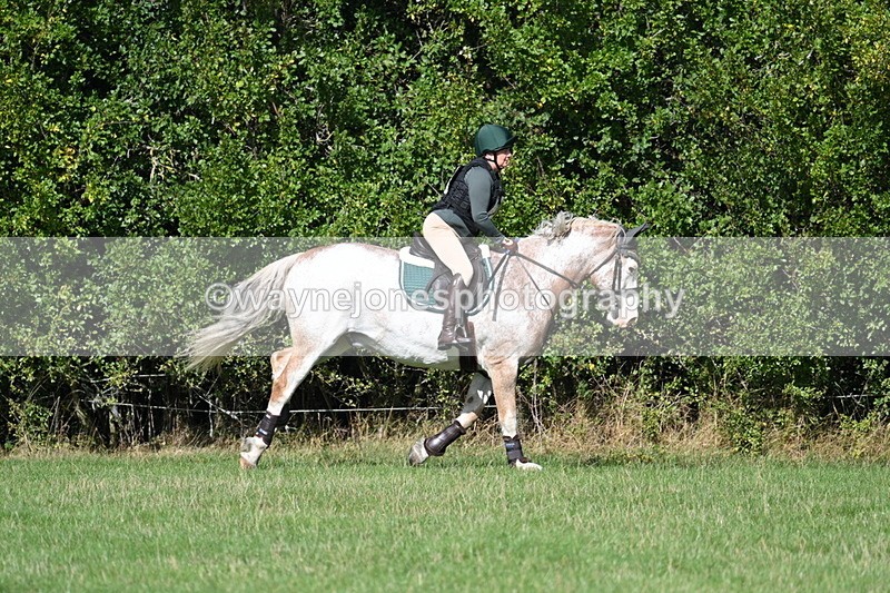 WJ7_9009 - Time 11:10 to 11:53