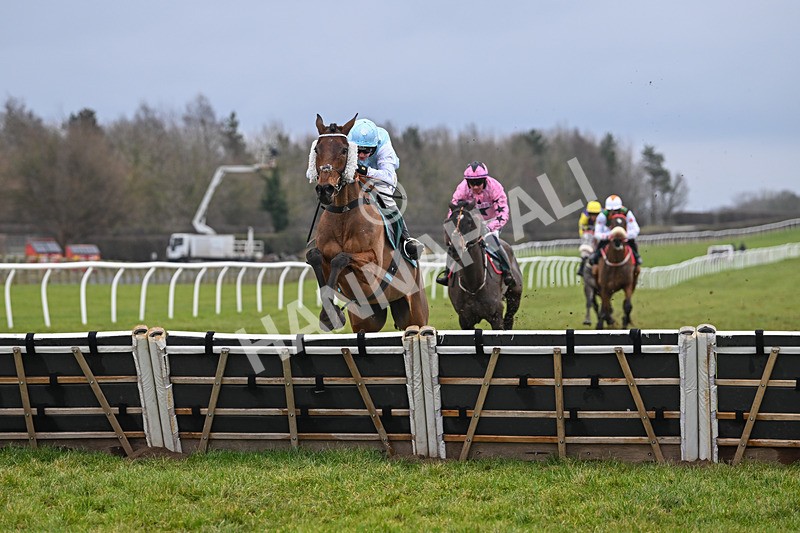 100225-Race 1-Tigerbythetail-6322 - Race 1