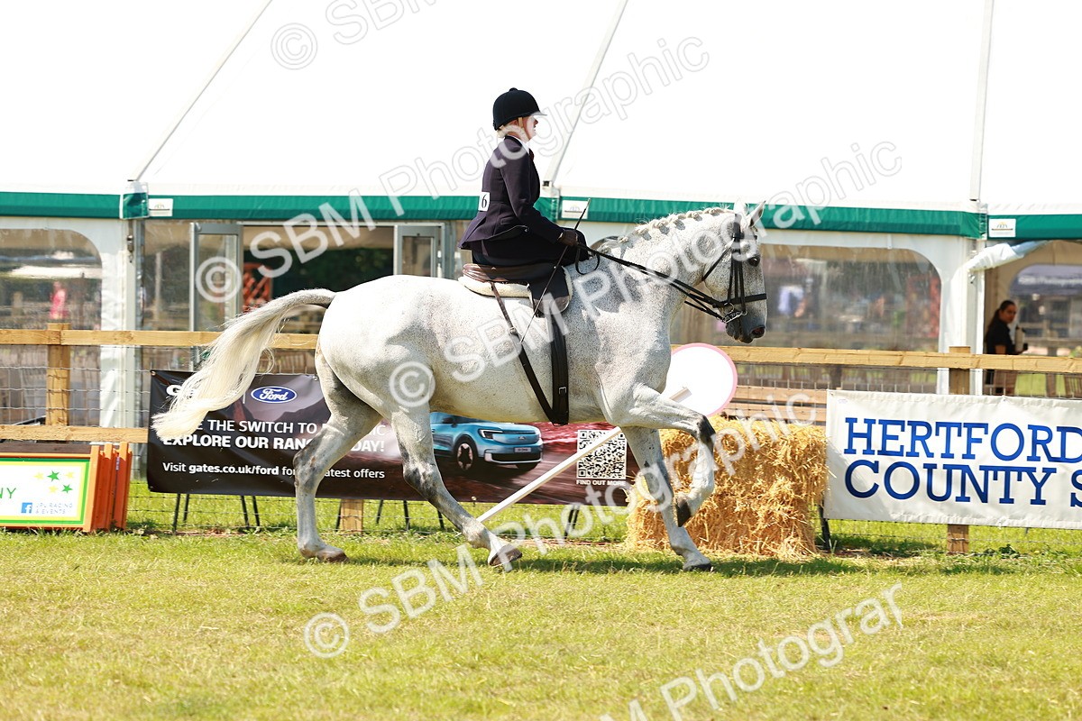 SBM_13326 - Class 70-71 - Side Saddle