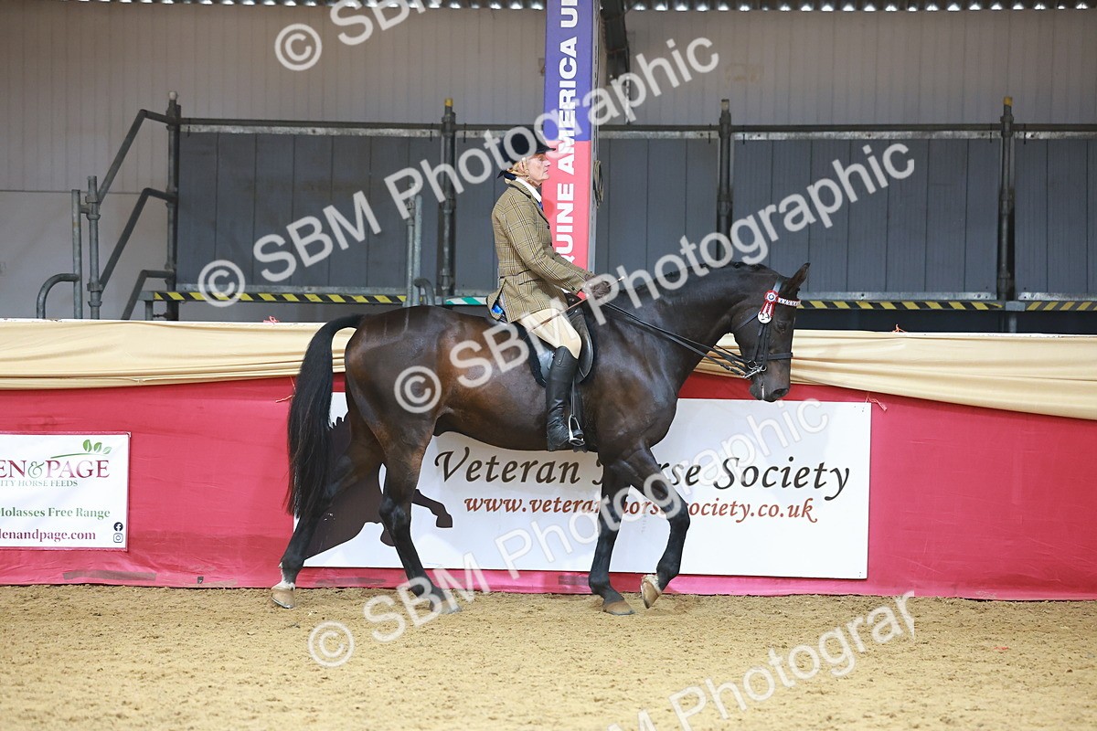 SBM_09590 - Class 102 - HOYS Veteran Qualifier - Ridden Veteran