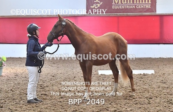 BPP_2049 - AFTERNOON 12.30 - 3.30PM